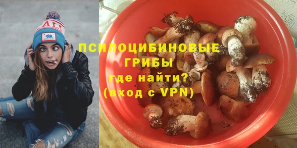 Альфа ПВП Алзамай