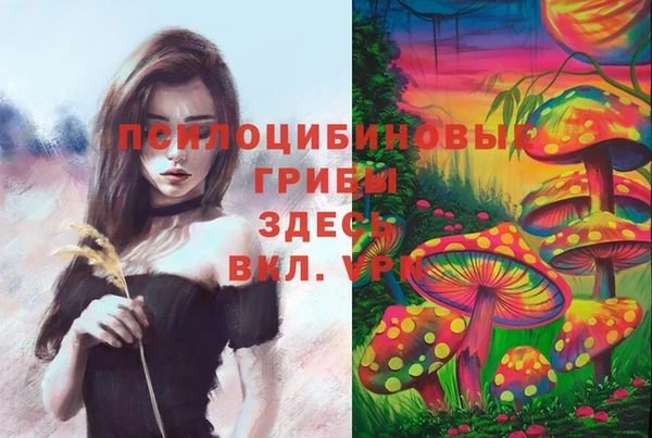 мет Алексин