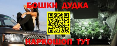 стафф Ярославль
