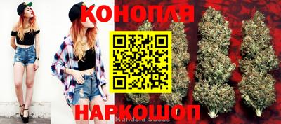 стафф Ярославль