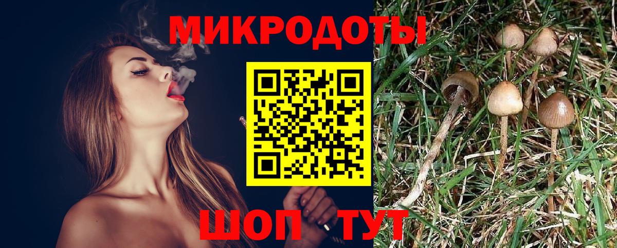 Псилоцибиновые грибы мухоморы  Вход с VPN  Карабулак 