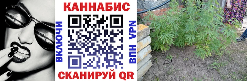 это клад  Карабулак  Шишки марихуана OG Kush  закладка 